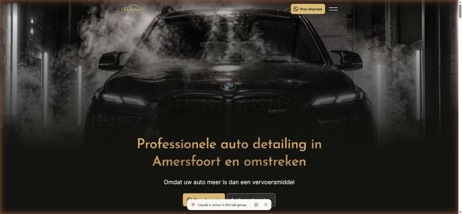 Screenshot van molenaarcarcare.nl